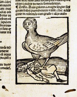"Liber Chronicarum": harpy