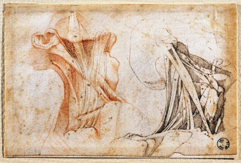 Clemente Bandinelli, Study of neck muscles