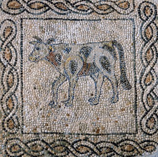 Mosaïque : la vache bringée