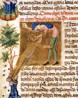 Explorer attacked by a monkey