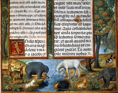 Forest filled with real and imaginary animals