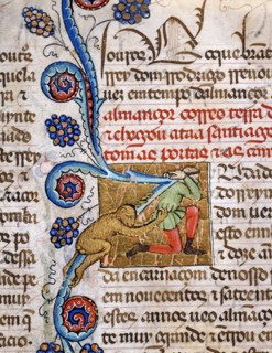 Explorer attacked by a monkey