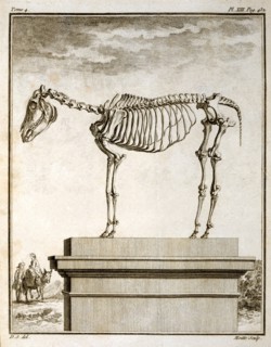 "Buffon's "Natural History