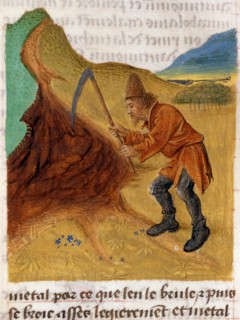 "Tractatus De Diversis Herbis", La recherche des métaux dans les montagnes