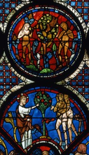 Vitrail de la cathédrale Notre-Dame de Chartres