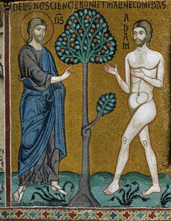 Chapelle palatine de Palerme
Mosaïque byzantine
La Genèse
Dieu, Adam et l'arbre de la