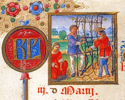 Breviaire d'Ercole d'Este: Pruning the vine