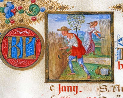 Breviaire d'Ercole d'Este: The harvest of wheat