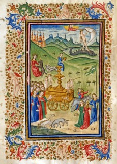 The Triumph of Modesty