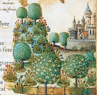 Illustration des "Canzoniere e Trionfi" de Pétrarque