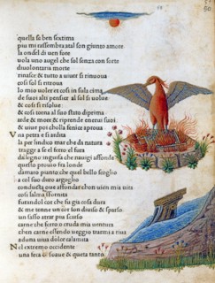 Illustration des "Canzoniere e Trionfi" de Pétrarque