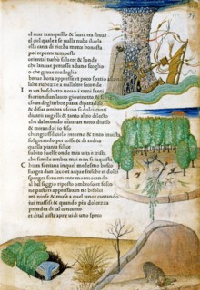 Illustration des "Canzoniere e Trionfi" de Pétrarque