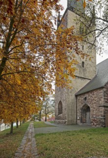Eglise Sainte-Anne à Eisleben