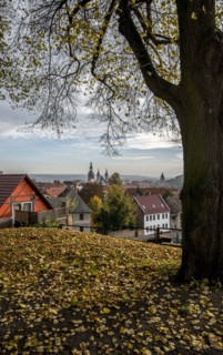 Vue de la ville d'Eisleben