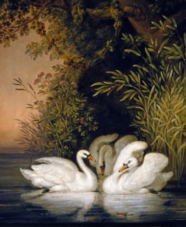 Tischbein, Cycle idyllique : Les cygnes