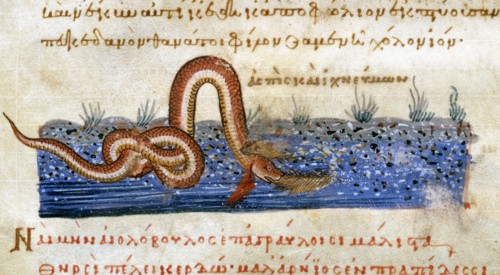Oppian of Apamea, 'Cynegetica': Combat between a snake and a coypu