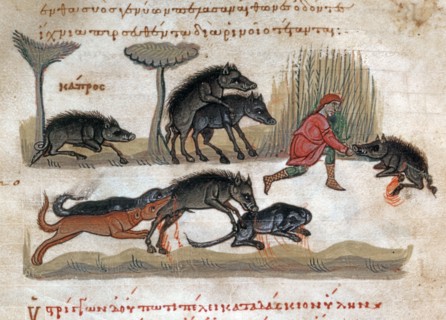Oppian of Apamea, 'Cynegetica': Treatise on wild boar. Life, mating, food, hunt with dogs