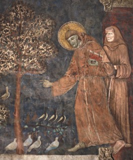 Maître de Saint François, Saint François prêche aux oiseaux