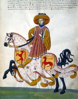 Aledusio Forzate