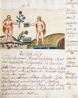 Les trois roses, symboles alchimiques lunaires : teinture philosophique, teinture métallique et fleur de sagesse, manuscrit alchimique "Clavis Artis" attribué à Zoroastre (Zarathoustra)