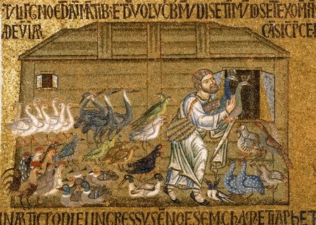 Embarquement des oiseaux dans l'Arche de Noé
