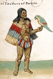 Habit en plumes de perroquet du chef du village de la Nouvelle Amérique