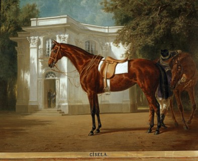 Pfeiffer, Portrait du cheval "Gisela" dans un coin du parc du château de Nymphenburg