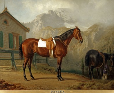 Pfeiffer, Portrait du cheval "Lucrezia" dans la cour du Soiernhaus