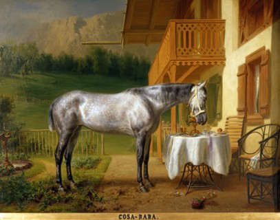 Pfeiffer, Portrait du cheval "Cosa Rara" dans l'une des maisons royales du parc du château de Linderhof