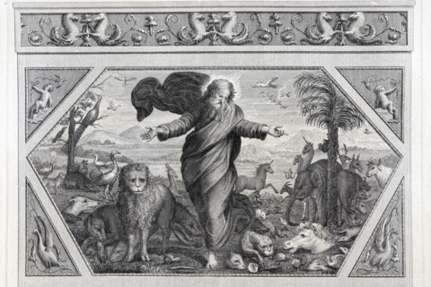 La Genèse, chapitre 1 : Dieu crée les animaux
