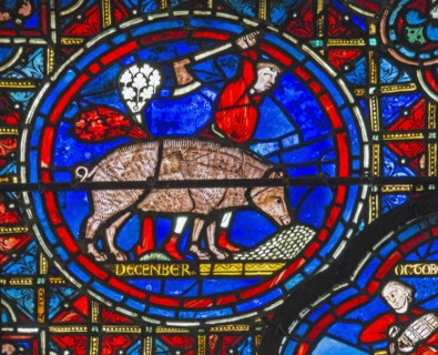 Abattage du cochon (vitrail de Chartres)