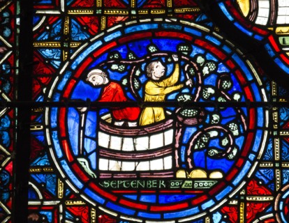 Les vendanges et le foulage du raisin (vitrail de Chartres)