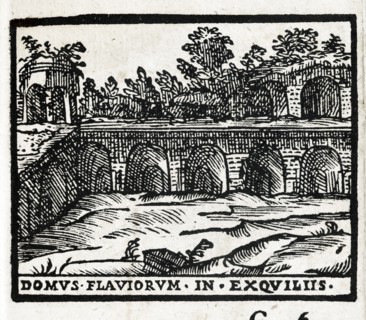 Domus Flaviorum in Exquiliis : Vestiges de la Domus Flavia à Rome