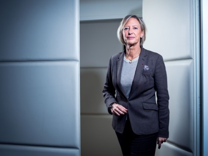 Sophie Cluzel, 2017
