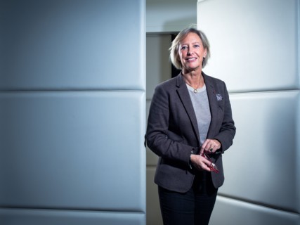 Sophie Cluzel, 2017