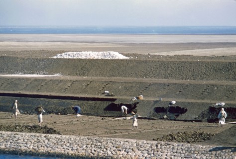Crossing the Suez Canal, 1958