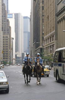 Policiers à cheval à New-York