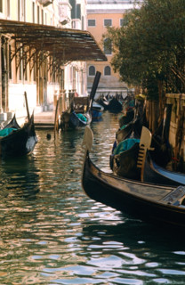Gondoles amarrées le long d’un canal à Venise