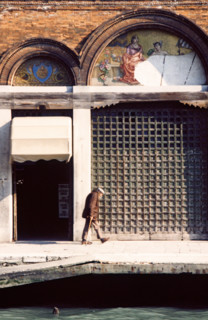 Halle aux poissons du Rialto, à Venise
