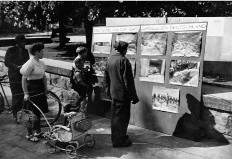 Civils allemands regardant les photos des camps, 1945