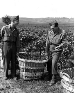 Harvest in Reims, 1945