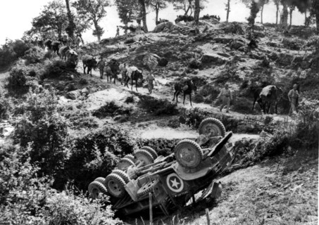 La Ve armée U.S. conduisant une caravane de mulets près de la "Gothic line", en Italie.
(Septembre 1944)