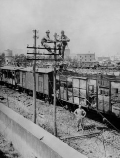 Le corps des transmissions de l'U.S. Army répare les lignes téléphoniques à Mazzara, en Sicile.
 (4 septembre 1943)