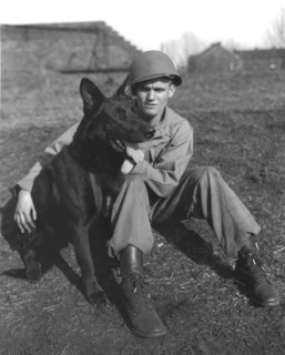 Un soldat du 42e peloton U.S. avec son chien de guerre à Farciennes, en Belgique. (25 mars 1945)