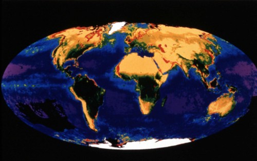 Biomasse végétale terrestre