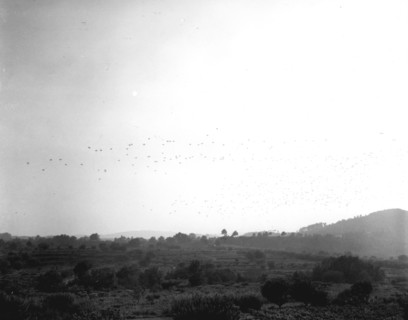 Débarquement de Provence (Opération Anvil Dragoon), le 15 août 1944