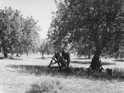 Débarquement de Provence (Opération Anvil Dragoon), le 15 août 1944