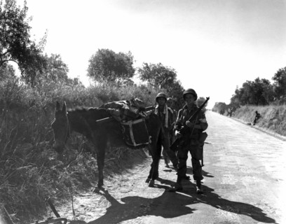 Débarquement de Provence (Opération Anvil Dragoon), le 15 août 1944