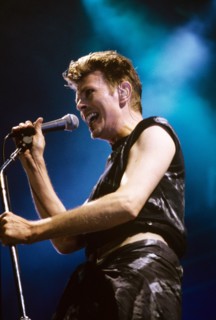 David Bowie