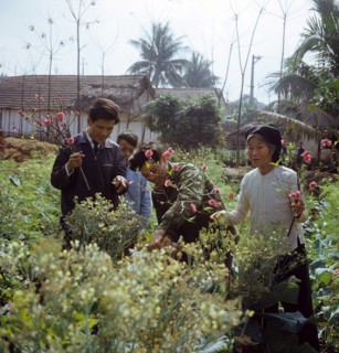 Historical Vietnam - North Vietnam 1973
